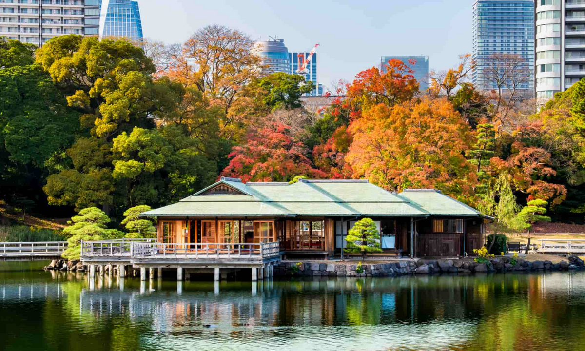 Places to Visit in Tokyo: Where Tradition Meets the Future