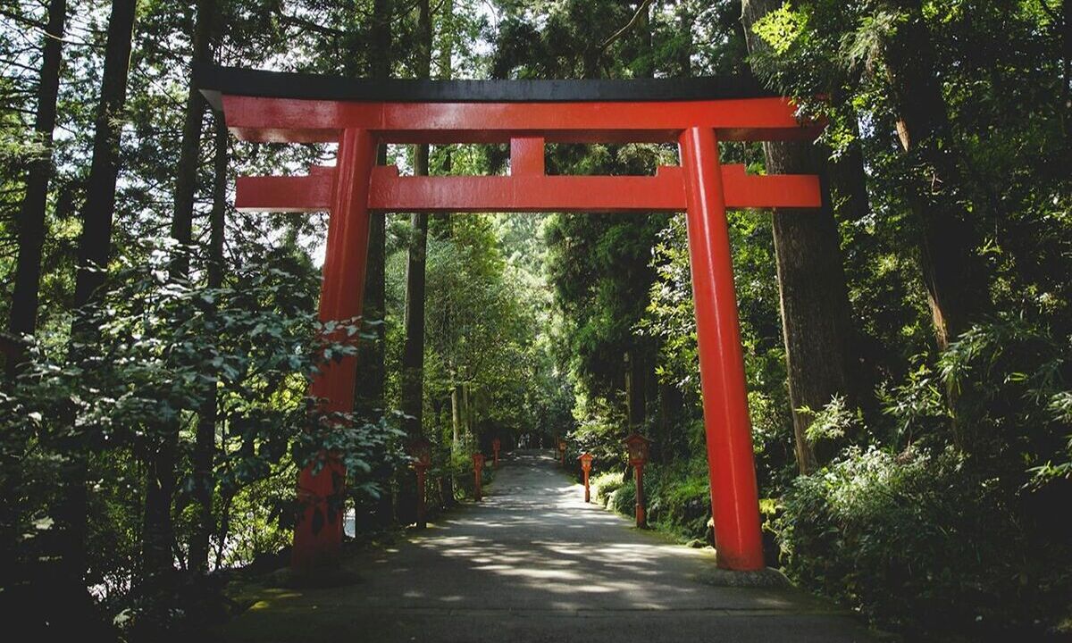 Best Things to Do in Japan: First-Time Travelers Should Not Miss These!