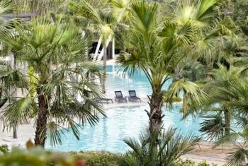 The Pavilions Phuket Pool