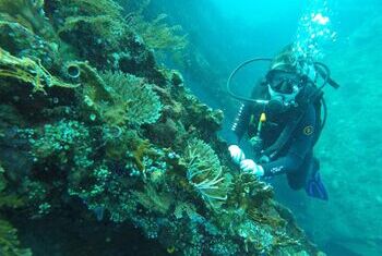 Ocean View Tulamben Dive & Resort