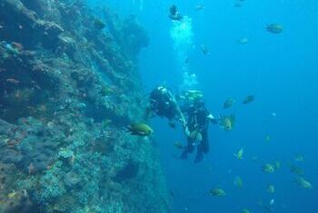 Ocean View Tulamben Dive & Resort