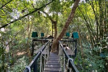 Khao Sok Tree House Resort