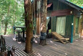 Khao Sok Tree House Resort