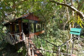 Khao Sok Tree House Resort