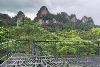 Khao Sok Tree House Resort