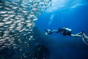 Jamahkiri Dive Resort & Spa