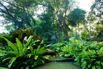 Lampang River Lodge Resort