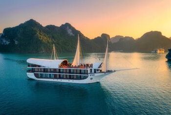 Sena Cruises