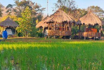 Bolaven Garden Guesthouse