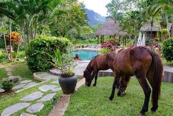 Hillside Nature Lifestyle Lodge