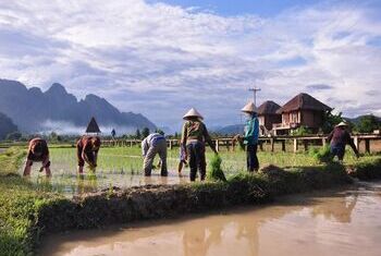 Viengtara Vang Vieng Resort