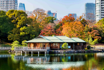 Places to Visit in Tokyo: Where Tradition Meets the Future