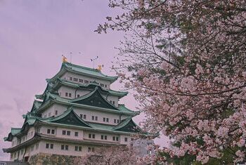 Best Time to Visit Japan: What you need to know before going 