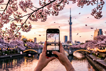 How Safe Is Japan? Your Ultimate Reality Guide to a Worry-Free Trip