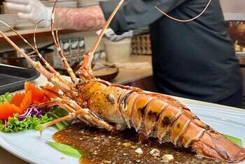 The Saraan Koh Samui