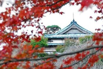 Mikawaya Ryokan 