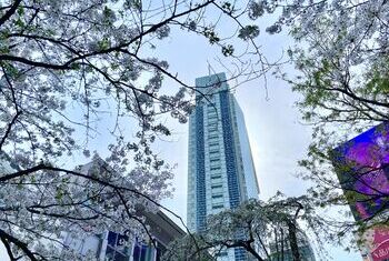 Shibuya Excel Hotel Tokyu