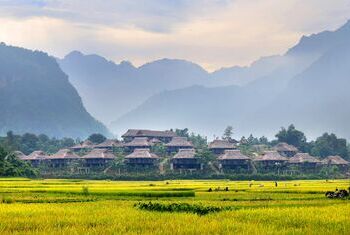 Mai Chau Ecolodge Rice Fields