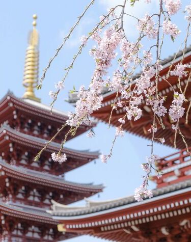 The Golden Route Odyssey of Japan