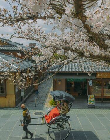 JAPAN'S HIGHLIGHTS: CULTURE & HERITAGE