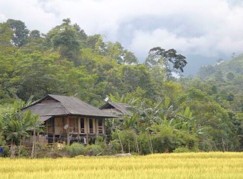 Ba Be Lake View Homestay