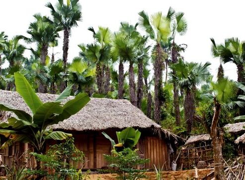 Homestay Mai Chau