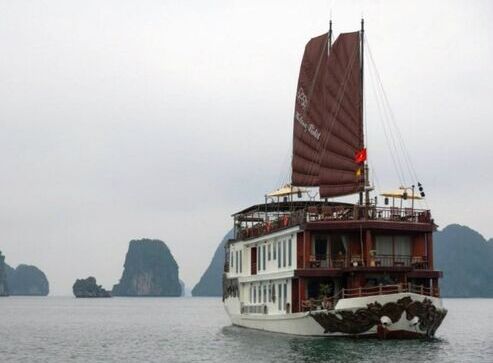 Violet Cruise