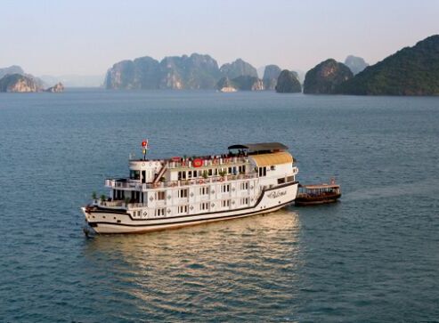 Paloma Cruise
