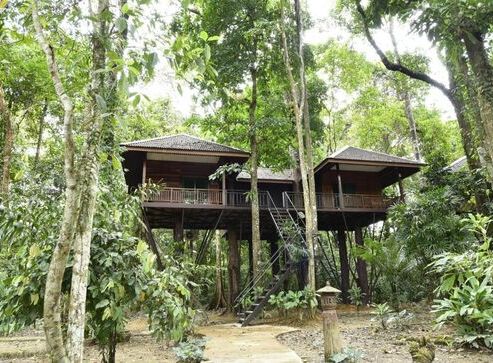 Khao Sok Nature Resort