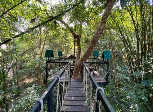 Khao Sok Tree House Resort