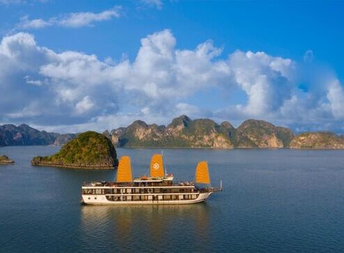 Peony Cruises