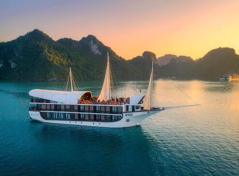 Sena Cruises