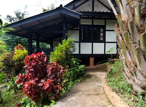 Hillside Nature Lifestyle Lodge