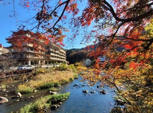 Hotel Kajikaso