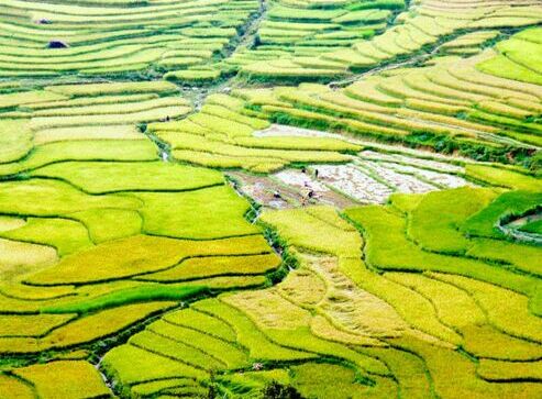 HOMESTAY HA GIANG