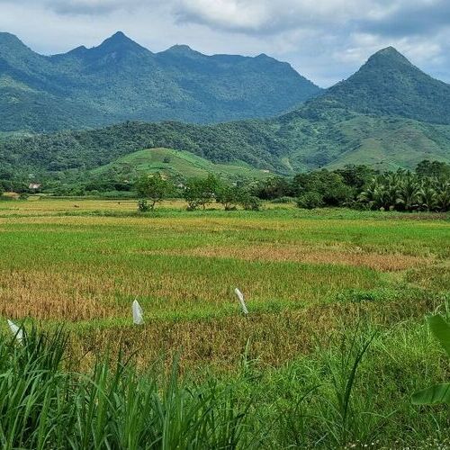 Exploring Hanoi Countryside & Village Life 