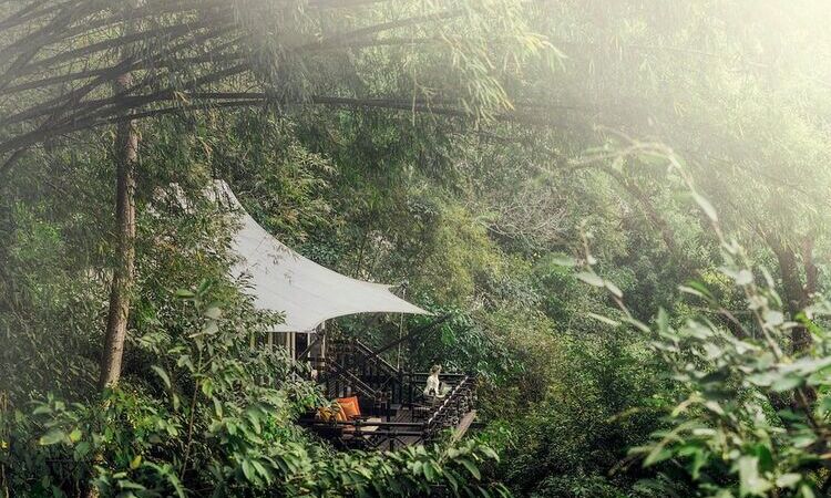 5 Best Nature-Oriented Resorts in Southeast Asia