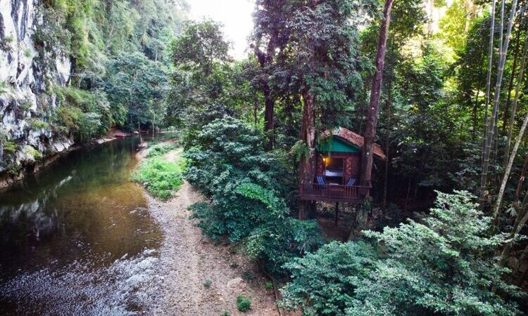Our Jungle Camp - Exotic Voyages