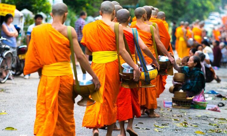 Observe Alms Giving Ceremony in Luang Prabang