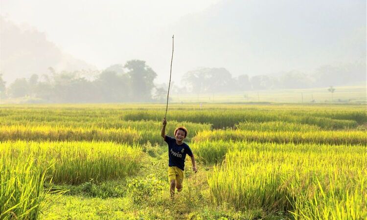 29 Photos That Show Vietnam As One Of The Most Beautiful Countries in Asia