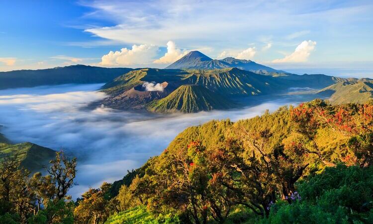 Java Travel Wonders: Into the Heart of Indonesia 