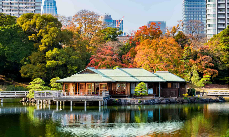 Places to Visit in Tokyo: Where Tradition Meets the Future