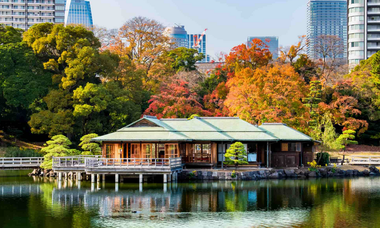 Places to Visit in Tokyo: Where Tradition Meets the Future
