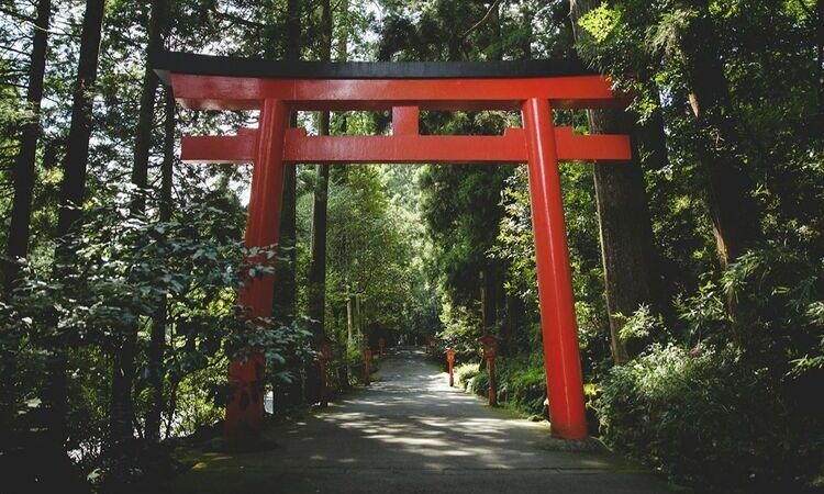 Best Things to Do in Japan: First-Time Travelers Should Not Miss These!