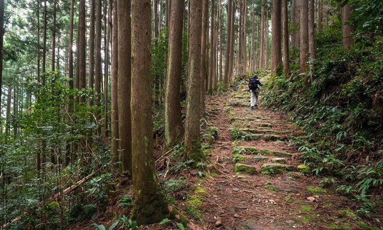 Hike an Ancient Pilgrimage Route