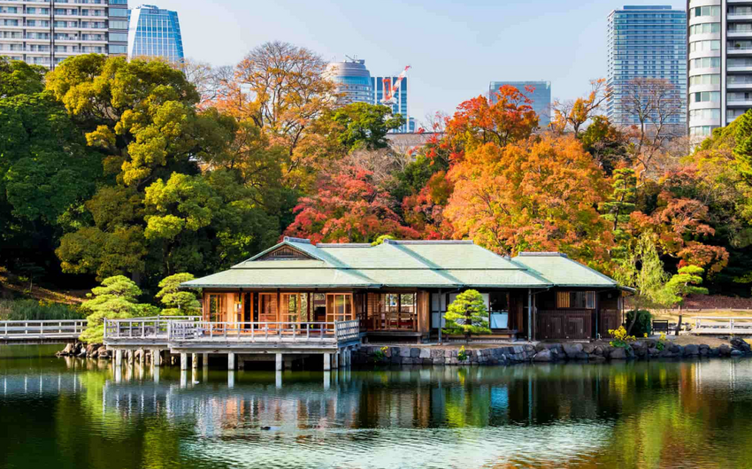 Places to Visit in Tokyo: Where Tradition Meets the Future