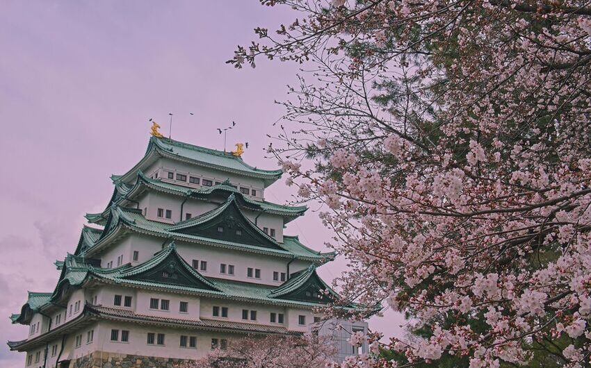 Best Time to Visit Japan: What you need to know before going 
