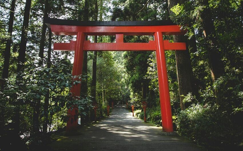 Best Things to Do in Japan: First-Time Travelers Should Not Miss These!