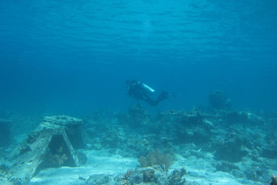 Exoticvoyages