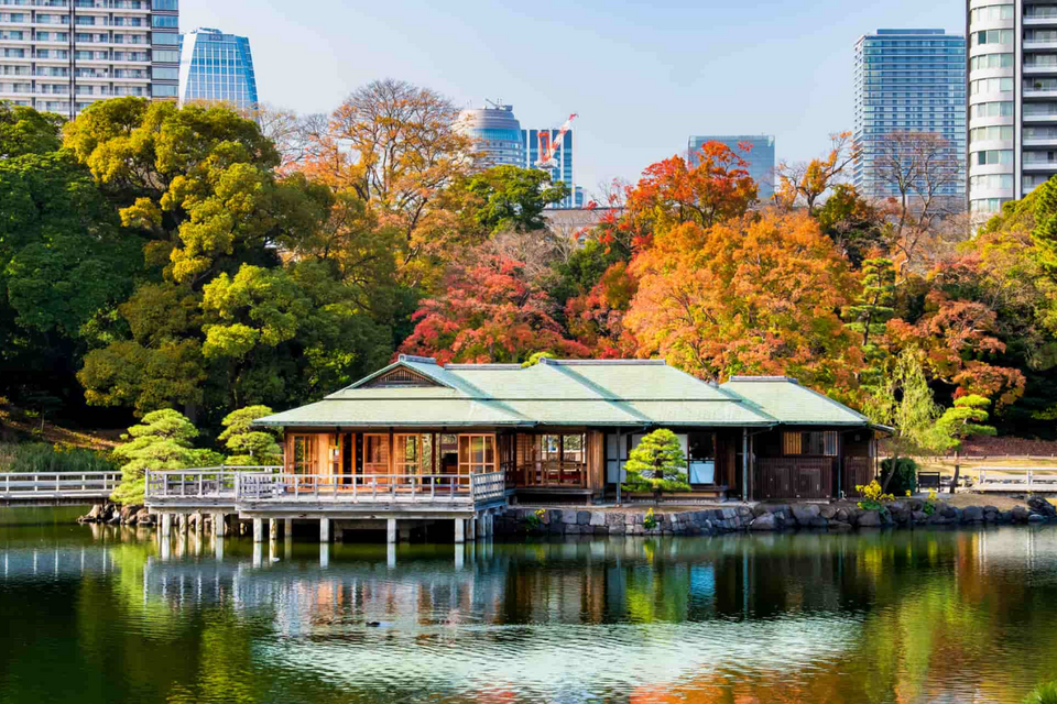 Places to Visit in Tokyo: Where Tradition Meets the Future